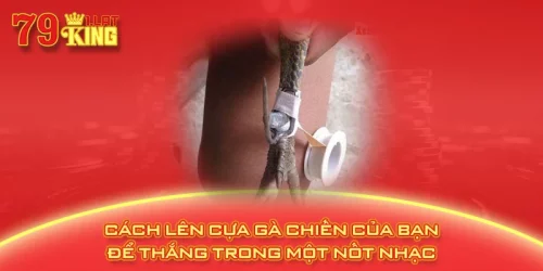 Cách Lên Cựa Gà Chiến Của Bạn Để Thắng Trong Một Nốt Nhạc